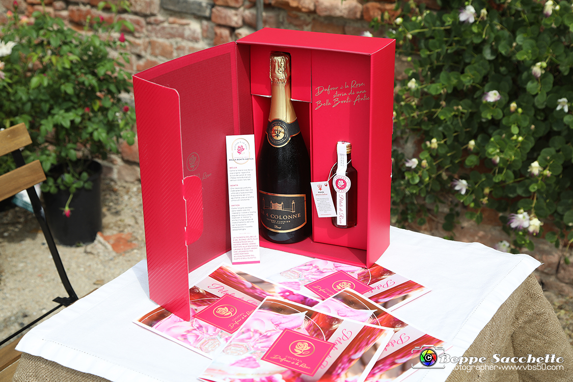 VBS_4630 - Premio della Rosa Principessa Maria Letizia - Sesta edizione 0057.jpg